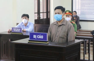 Kẻ trục lợi tiền hỗ trợ dịch tả lợn Châu Phi lĩnh án 