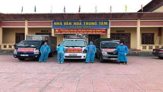 Nữ du học sinh giải cứu 30 tấn rau ở Hải Dương 