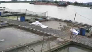 Tàu chở hàng đâm vào thuyền đánh cá, một người phụ nữ mất tích