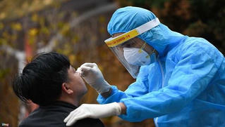 Hải Dương dừng hoạt động kinh doanh, tiêu thụ, chế biến thức ăn liên quan đến chó mèo 