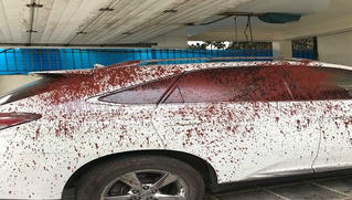 Bắt nhóm đòi nợ chuyên 'khủng bố' bằng chất bẩn 