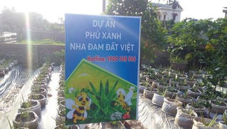 Hải Dương yêu cầu Công ty CP Biobee - Việt Pháp tạm dừng việc bán cây giống nha đam
