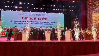 Ngành nông nghiệp là "điểm sáng" trong năm 2021 của tỉnh Hải Dương