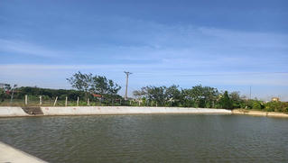 Người dân chết do điện giật ở hồ câu: Lãnh đạo địa phương phủ nhận trách nhiệm