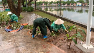Công nhân đội mưa dọn dẹp cây hoa dập nát sau đêm khai trương phố đi bộ ở Hải Dương