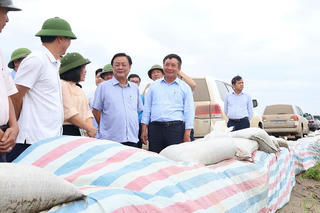 Bộ NN&PTNT nắm bắt tình hình thiệt hại và phục hồi sản xuất nông nghiệp sau bão tại Hải Dương