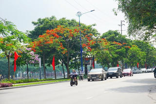 Tỷ lệ cây xanh đô thị của TP Hải Dương vượt tiêu chí đô thị loại I