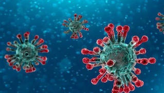 Chính thức đặt tên SARS-CoV-2 cho virus gây bệnh Covid-19