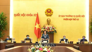 Kiện toàn Ban Thư ký Quốc hội