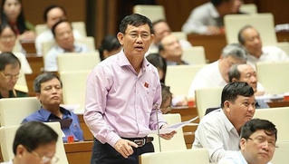 Mới chỉ có 8% tổng số doanh nghiệp đầu tư vào lĩnh vực nông nghiệp