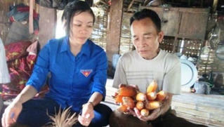 Điều chỉnh số lượng tối đa Phó Chủ tịch UBND cấp xã loại II