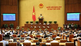Năm 2021, Quốc hội sẽ xem xét 6 dự án luật