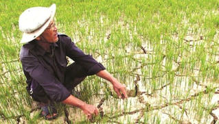 Thủ tướng yêu cầu không để hộ dân nào thiếu nước sinh hoạt