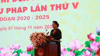 Pháp luật phải thực sự trở thành chuẩn mực ứng xử trong cơ quan nhà nước, xã hội và người dân