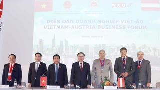 Việt Nam - Áo ưu tiên hợp tác năng lượng sạch, kinh tế số, ứng dụng công nghệ sinh học