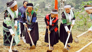 Phấn đấu mức thu nhập bình quân của người dân tộc thiểu số tăng trên 2 lần