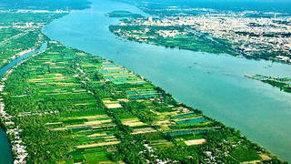 Khởi động dự án gần 3 triệu USD để bảo tồn môi trường sống ven biển