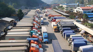 Đa dạng hóa thị trường, đa dạng hóa phương thức vận chuyển tiêu thụ nông sản