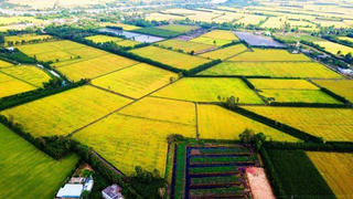 Phát triển ĐBSCL thành trung tâm kinh tế nông nghiệp bền vững, năng động