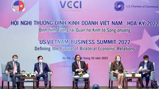 Thúc đẩy quan hệ Việt Nam - Hoa Kỳ phát triển thực chất, hiệu quả