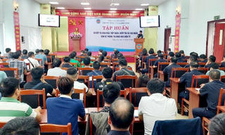 Triển khai hiệu quả việc tiếp nhận bản kê hải quan điện tử