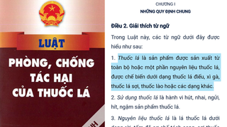 Căn cứ vào nguyên liệu có đủ cơ sở đưa thuốc lá làm nóng vào diện quản lý? 