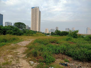 Điều chỉnh quy hoạch, chuyển mục đích sử dụng đất trên địa bàn Hà Nội – pháp lý đặt ra (kỳ 1)