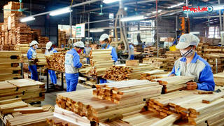 Xuất khẩu gỗ và lâm sản đạt gần 8 tỷ USD 