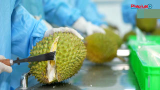 Xuất khẩu rau quả tăng mạnh 7 tháng đầu năm 2024 