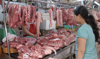 TP HCM thí điểm đóng tem vệ sinh thú y điện tử lên thịt heo
