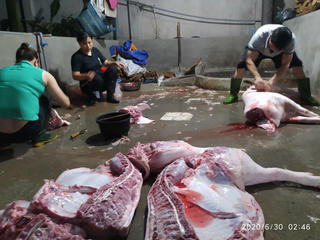 Đồng Nai: Khi heo lậu chiếm lĩnh thị trường - Bài 2: Đột nhập kiểm tra một loạt các lò giết mổ heo lậu