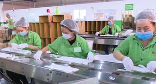 Tây Ninh 3 doanh nghiệp phải dừng sản xuất sau khi áp dụng "3 tại chỗ"