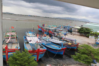 Bà Rịa – Vũng Tàu tạm dừng tàu cá ra khơi từ ngày 26/8