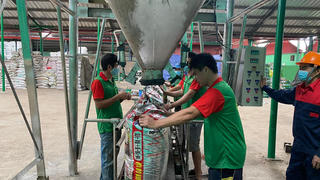 Bình Dương: Hỗ trợ doanh nghiệp nâng cao năng suất và chất lượng sản phẩm, hàng hóa trên địa bàn tỉnh, giai đoạn 2021-2030
