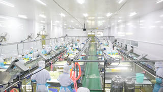 GC Food Group - Nâng tầm vị thế nha đam Việt trên bản đồ thế giới