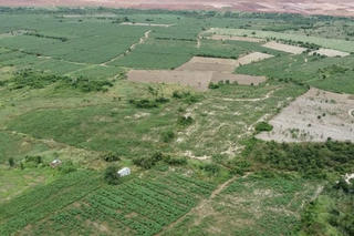Kiến nghị xây hàng rào bảo vệ 5.000 ha đất dự án Sân bay Long Thành