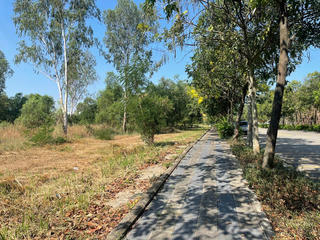 Yêu cầu kiểm tra hồ sơ pháp lý 2 dự án của Công ty Cổ phần Đô thị Amata Biên Hòa