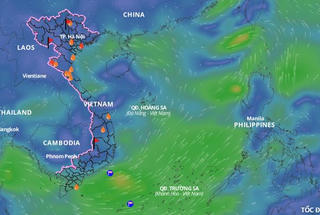 Từ Quảng Ninh đến An Giang chủ động ứng phó với vùng áp thấp