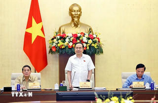 Chủ động rà soát văn bản quy phạm pháp luật
