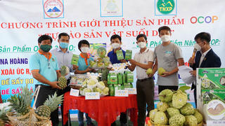 OCOP bước vào giai đoạn mới: Quy trình đánh giá phân hạng được chia thành 2 cấp
