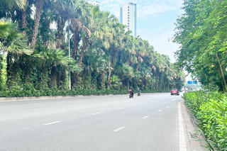 Thời tiết ngày 7/7: Miền Bắc và Trung Bộ ngày oi nóng, chiều tối mưa dông