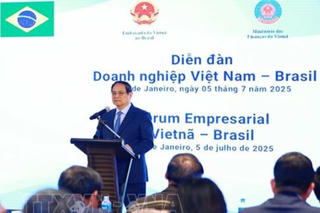 Thủ tướng Phạm Minh Chính dự Diễn đàn doanh nghiệp Việt Nam - Brazil