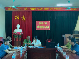 Quỹ bảo vệ và phát triển rừng Điện Biên: Nỗ lực cho những cánh rừng thêm xanh