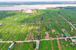 Hà Nội: Cho phép khai thác đất bãi sông phục vụ du lịch, nông nghiệp