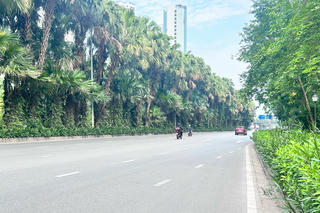 Thời tiết Hà Nội, TP Hồ Chí Minh và cả nước ngày 19/7
