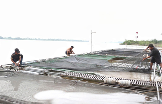 Ninh Bình chủ động ứng phó bão số 3