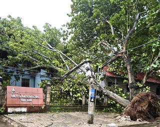 Cảnh báo mưa lớn toàn tỉnh Tuyên Quang
