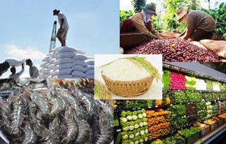 EVFTA – Động lực cải cách thể chế và định hướng phát triển xanh