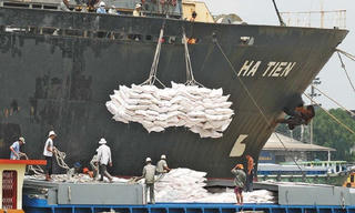 Việt Nam tiếp tục giữ vị trí top 3 xuất khẩu gạo vào Singapore