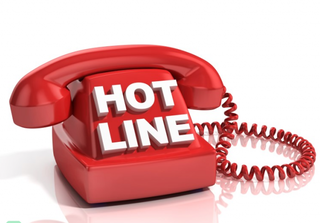 Công bố đường dây nóng xử lý vi phạm môi trường và giao thông tại Hải Phòng
